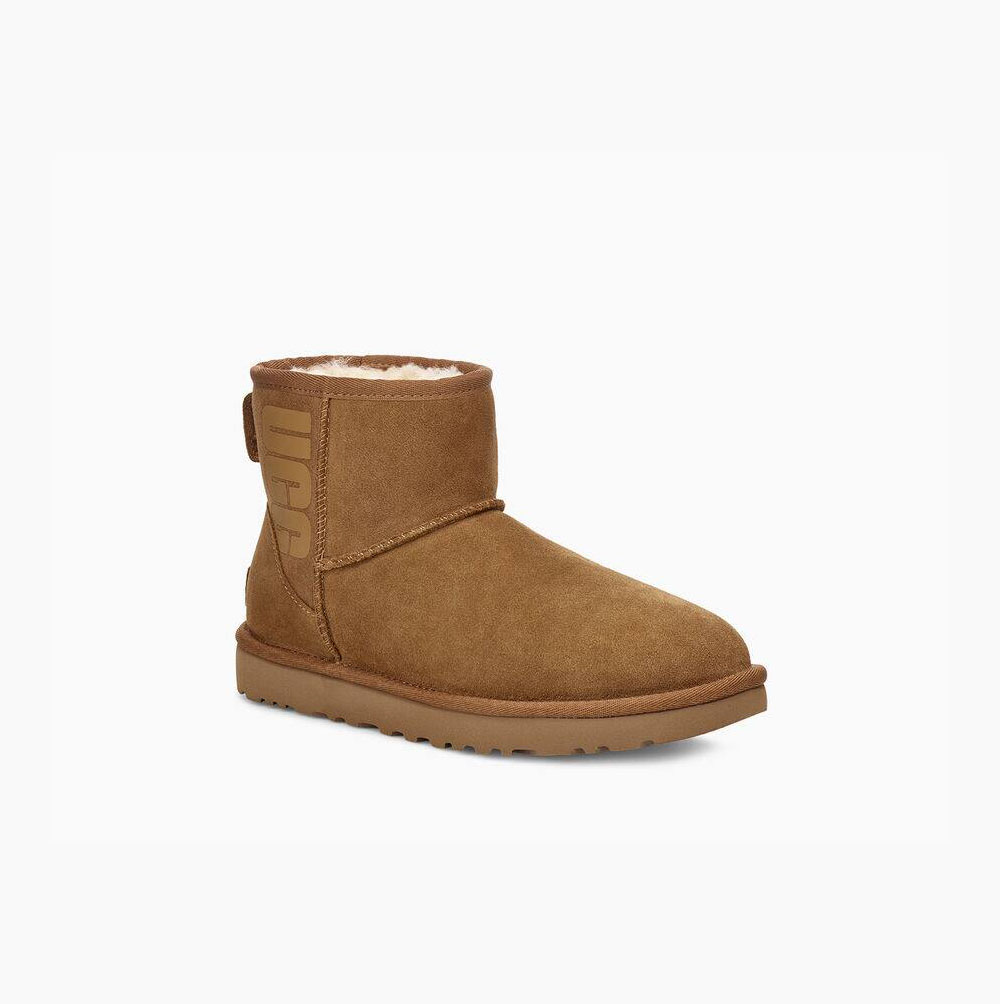 UGG Classic Mini Rubber Logo Brown Boots for Women (WHRD40812)